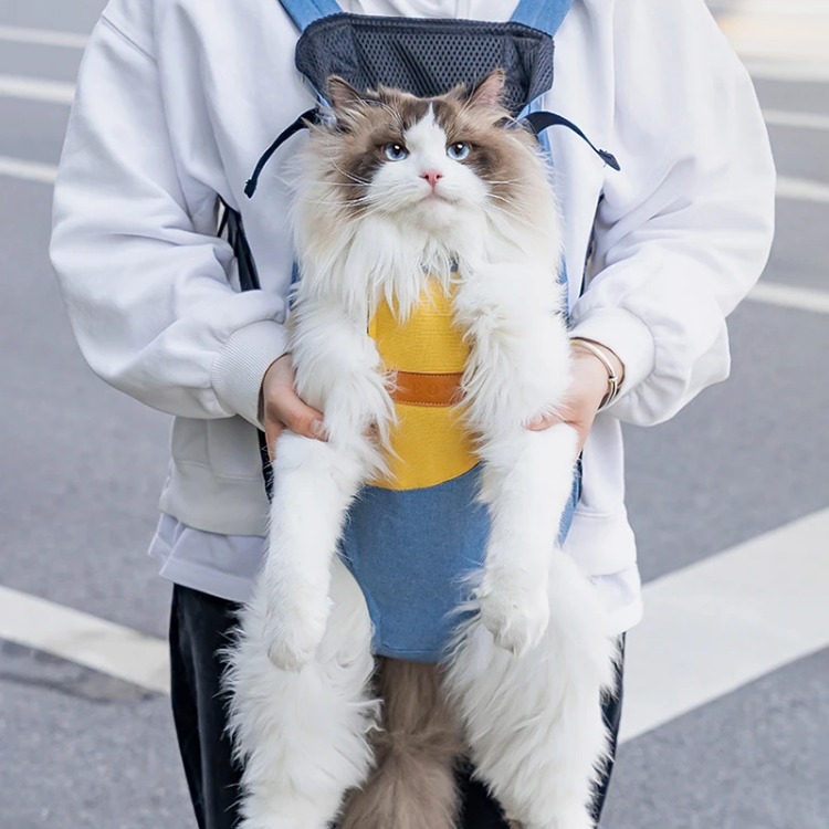 Mochila Cangurú para Pet