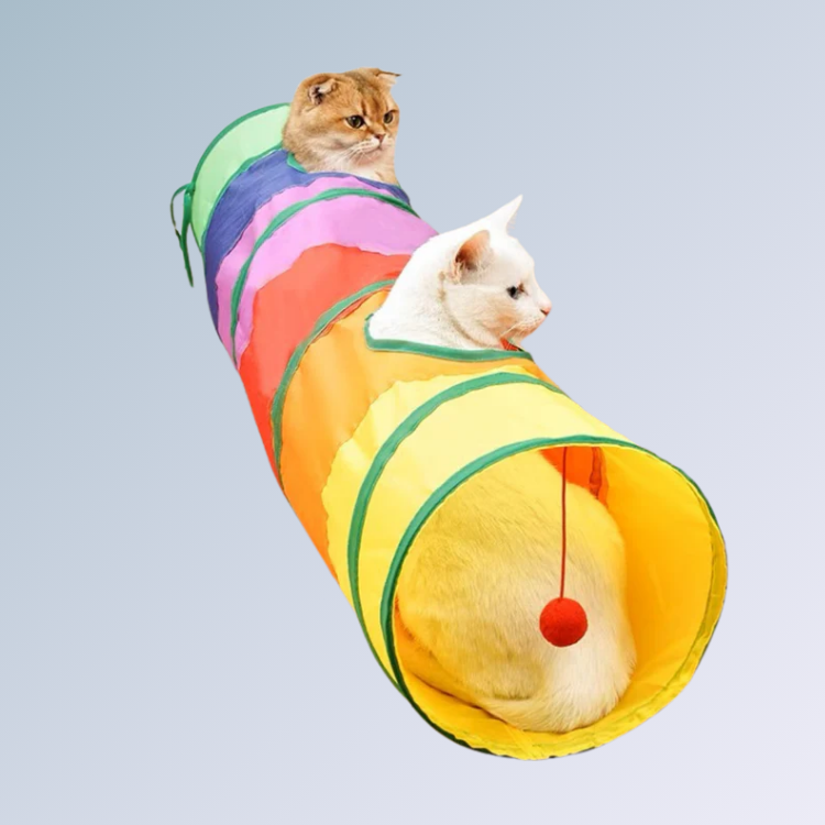 Túnel Dobrável para Gatos
