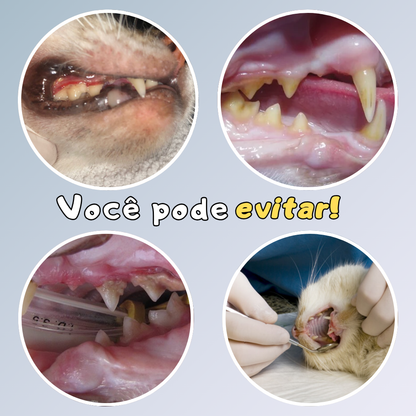 Kit Bastão de Limpeza Bucal para Pets