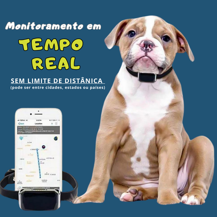 Coleira GPS de Rastreio e Monitoramento para Pets