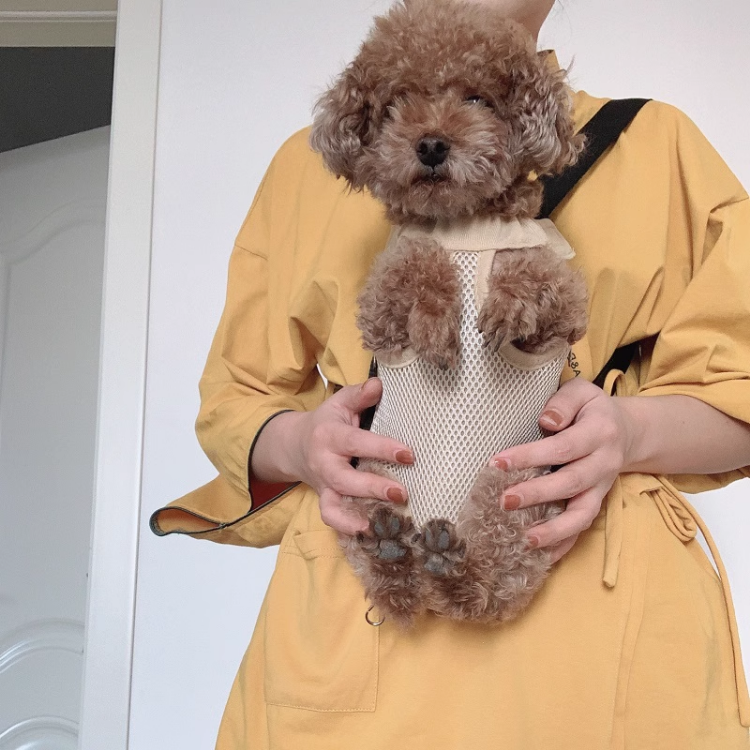 Mochila Cangurú para Pet