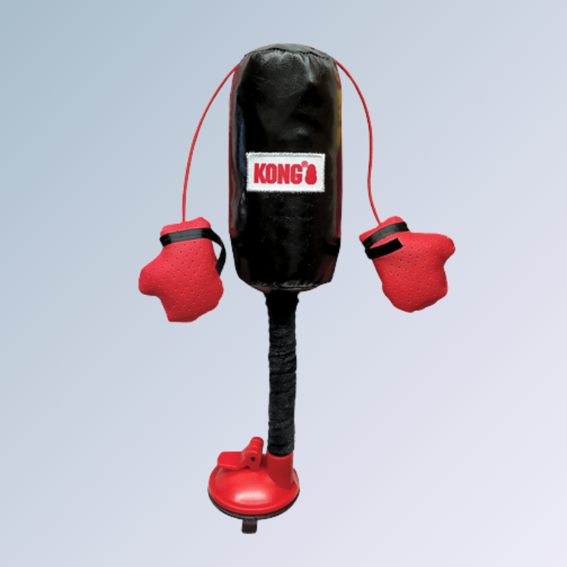 Brinquedo Boxe Olímpico para Gatos