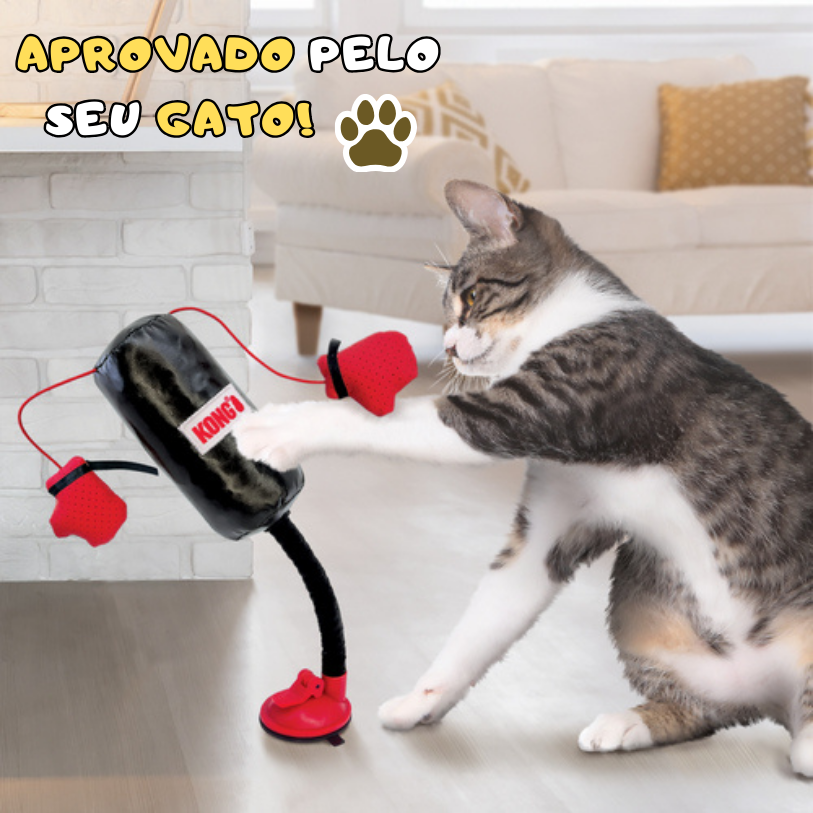 Brinquedo Boxe Olímpico para Gatos