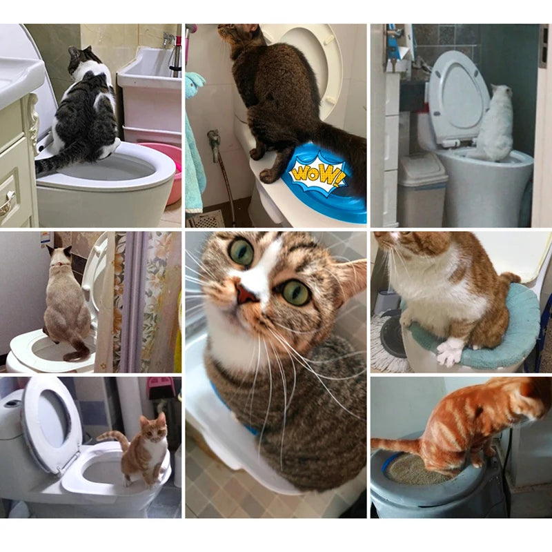 Kit de Treinamento de Banheiro para Gatos