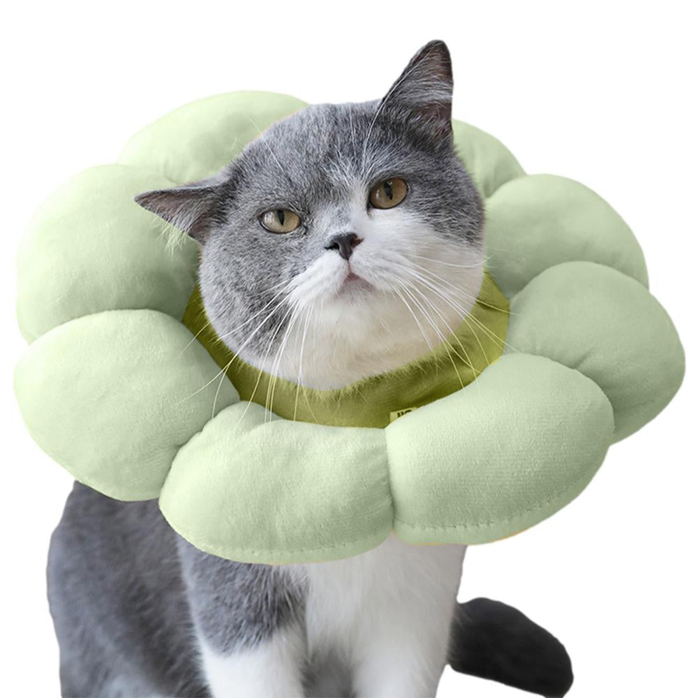 Cone Flor para Gatos