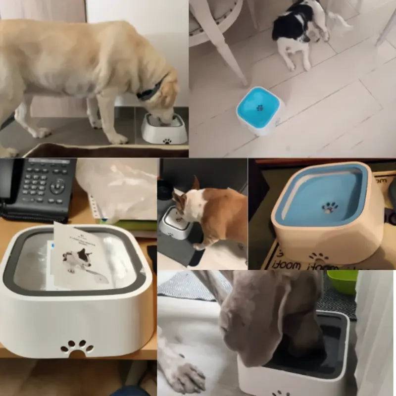 Bebedouro Flutuante Anti Respingo para Cães e Gatos Smart Casas