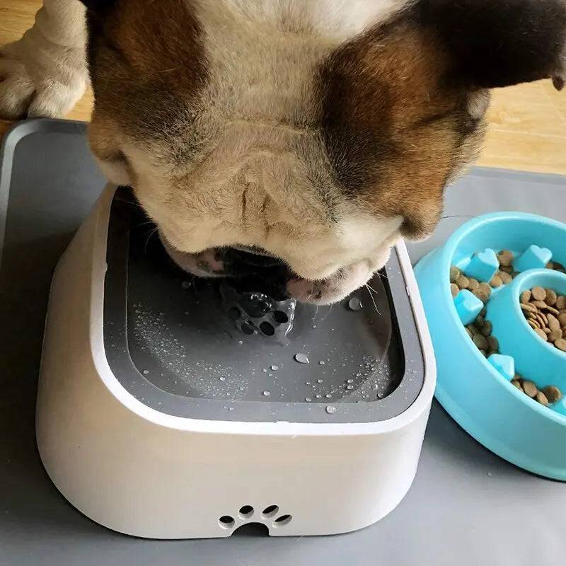 Bebedouro Flutuante Anti Respingo para Cães e Gatos Smart Casas