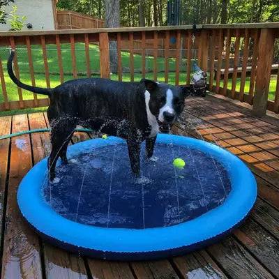 Piscina Refrescante com Fonte para Cães Smart Casas