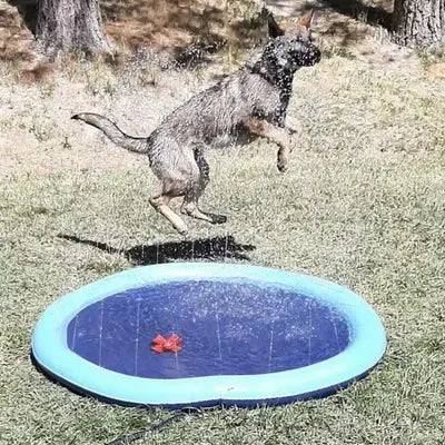 Piscina Refrescante com Fonte para Cães Smart Casas