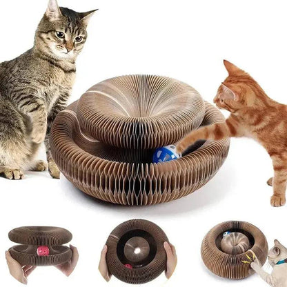 Brinquedo Sanfona para Gatos Smart Casas
