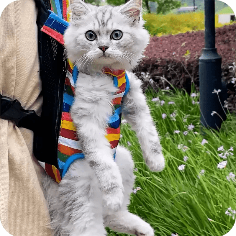 Mochila Cangurú para Pet Smart Casas